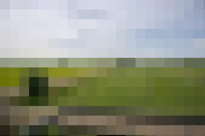 Heiligegeestlaan 5 Leimuiden thumbnail 44
