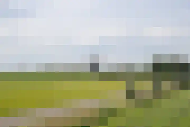 Heiligegeestlaan 5 Leimuiden thumbnail 45