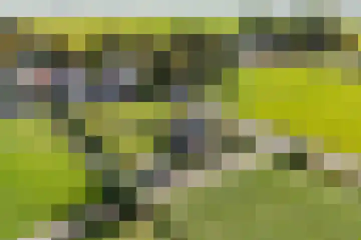 Heiligegeestlaan 5 Leimuiden thumbnail 48