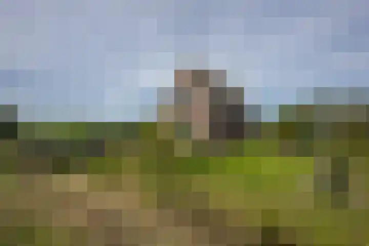 Heiligegeestlaan 5 Leimuiden thumbnail 5
