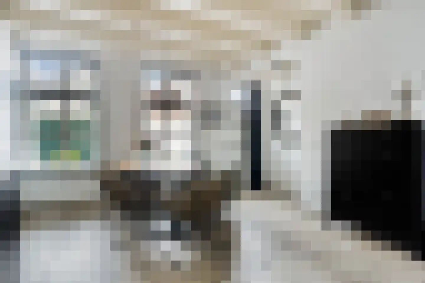 Heiligegeeststeeg 1 Doesburg thumbnail 11