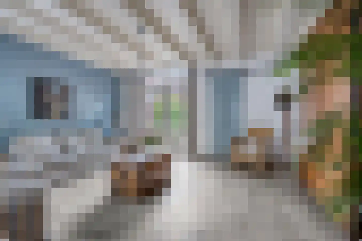 Heiligegeeststeeg 1 Doesburg thumbnail 18