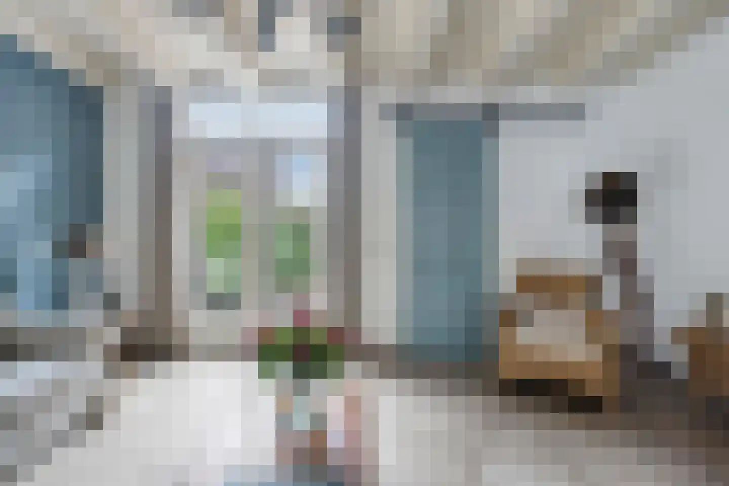Heiligegeeststeeg 1 Doesburg thumbnail 19