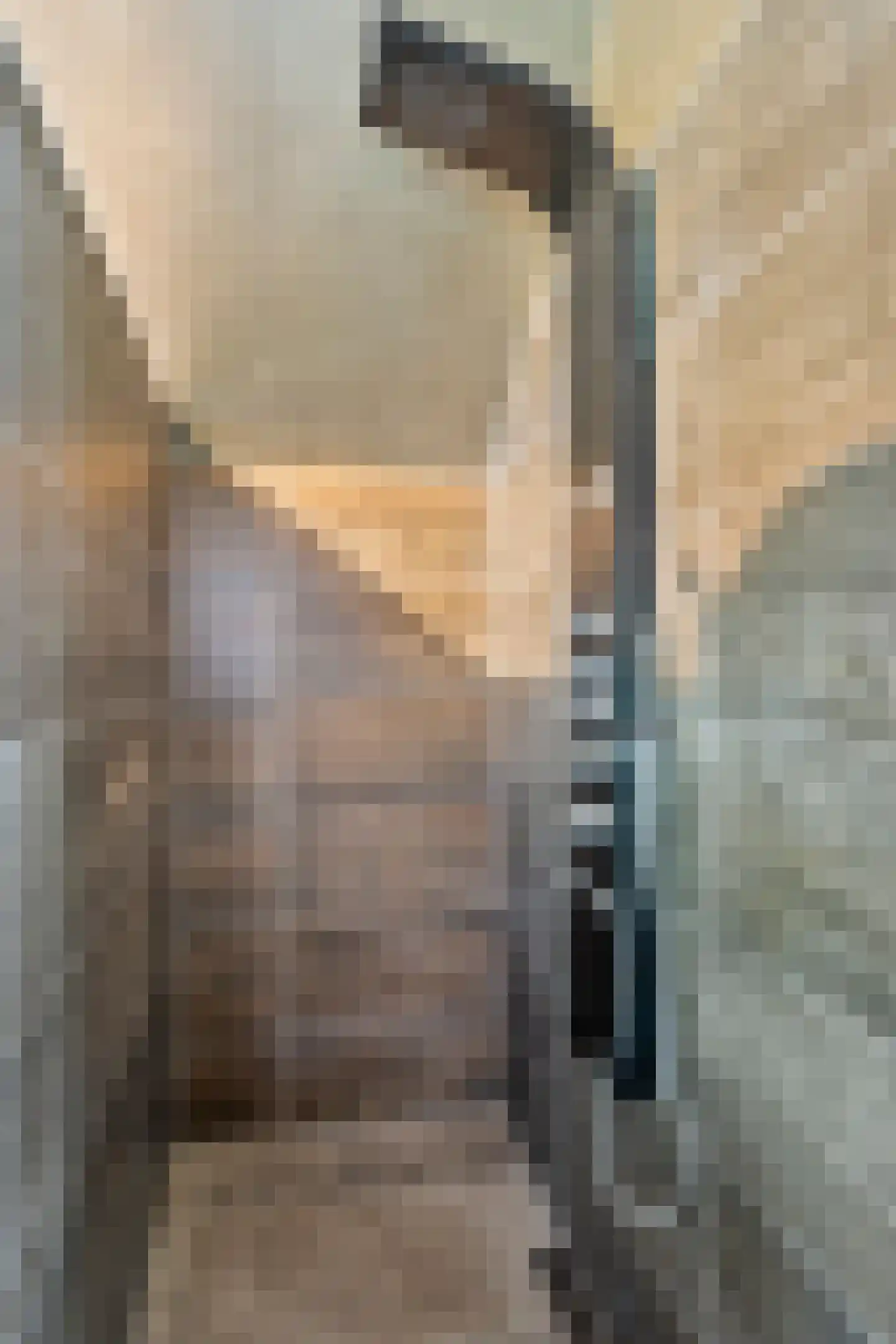 Heiligegeeststeeg 1 Doesburg thumbnail 33