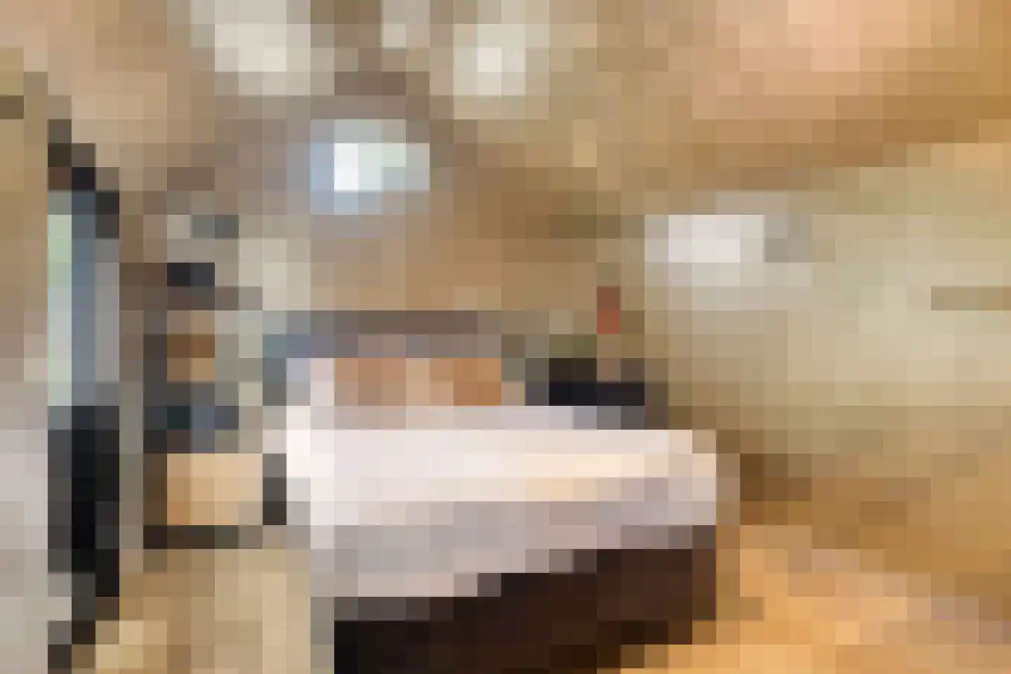 Heiligegeeststeeg 1 Doesburg thumbnail 4