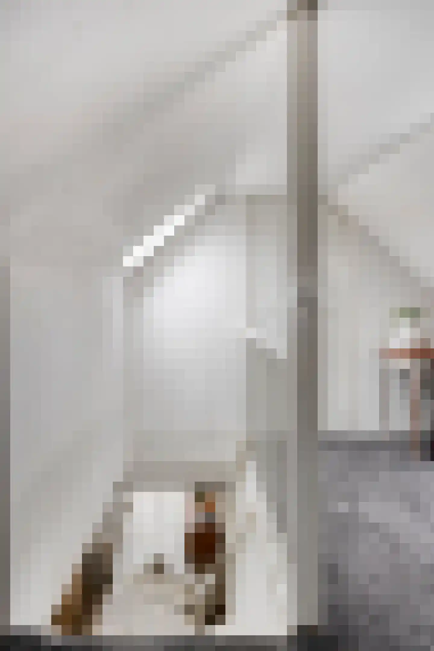 Heiligegeeststeeg 1 Doesburg thumbnail 43