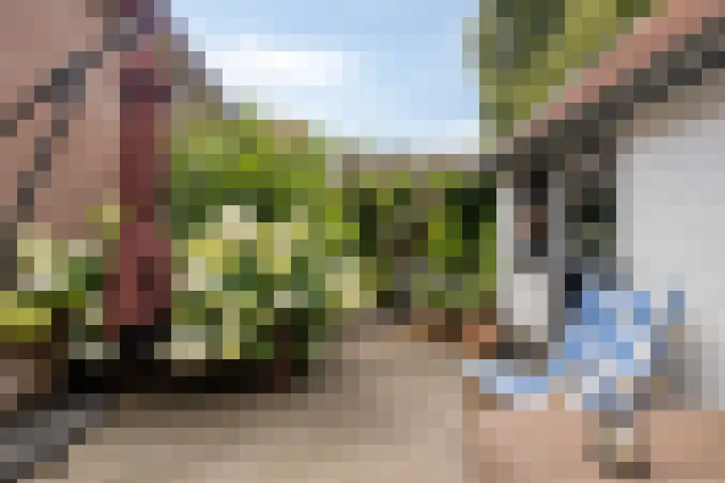 Heiligegeeststeeg 1 Doesburg thumbnail 45