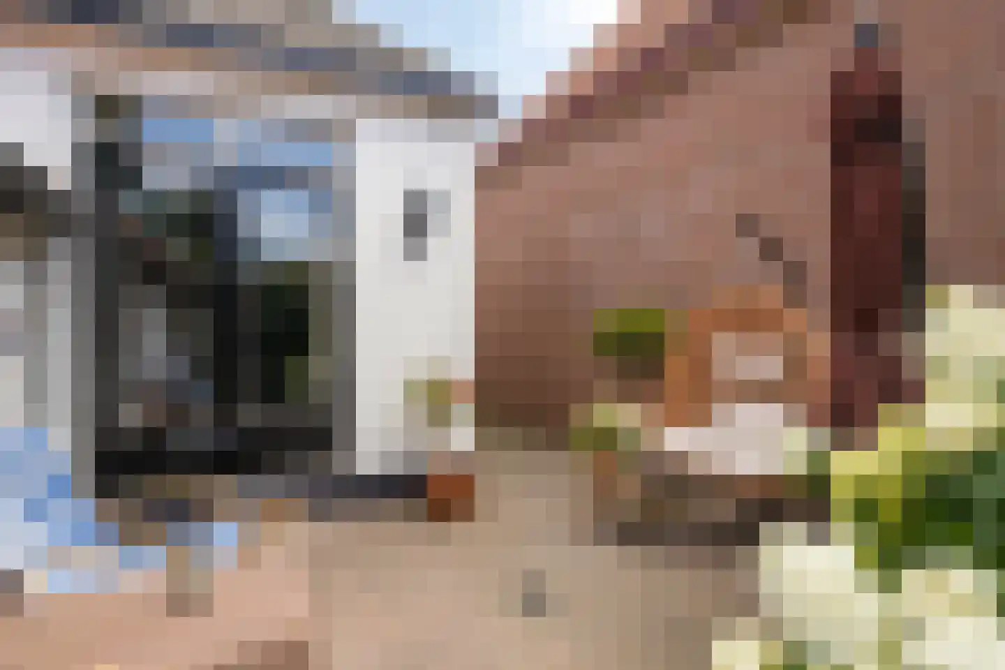 Heiligegeeststeeg 1 Doesburg thumbnail 46