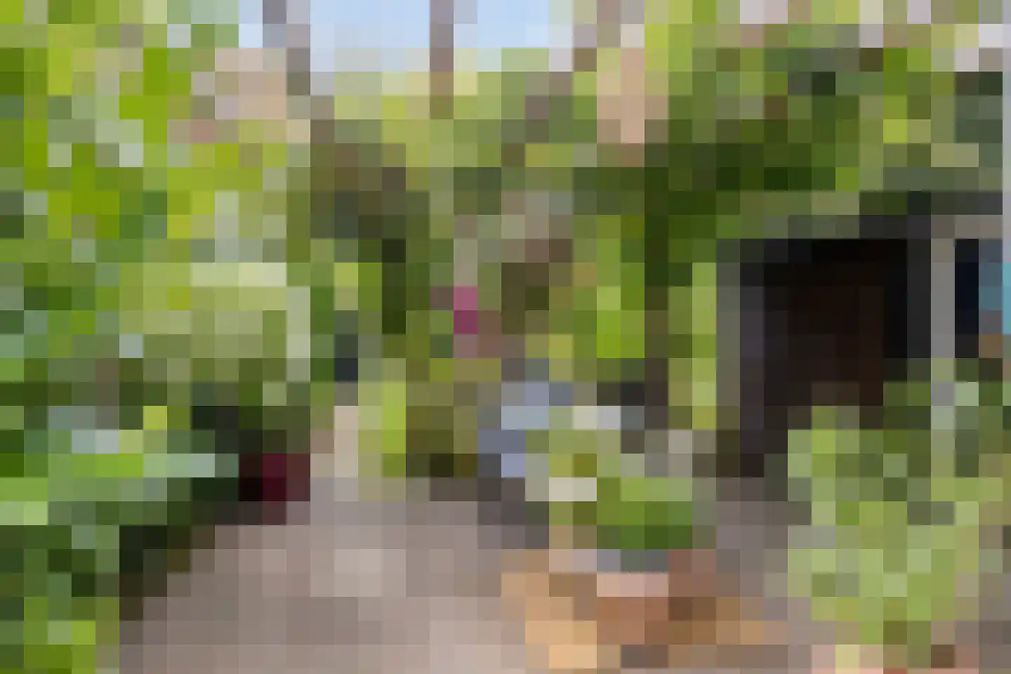 Heiligegeeststeeg 1 Doesburg thumbnail 47