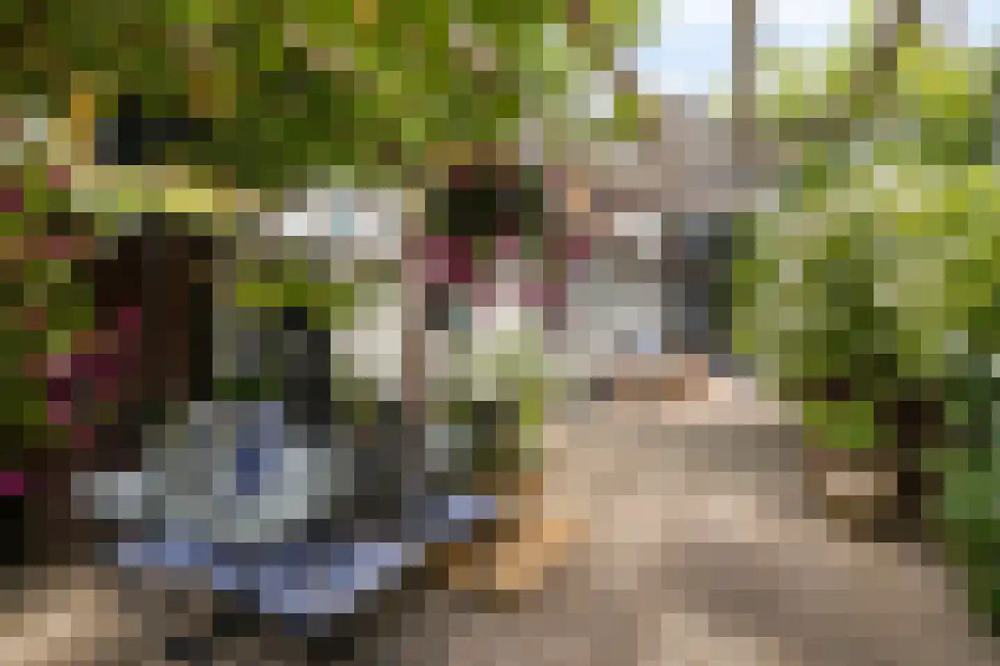Heiligegeeststeeg 1 Doesburg thumbnail 48