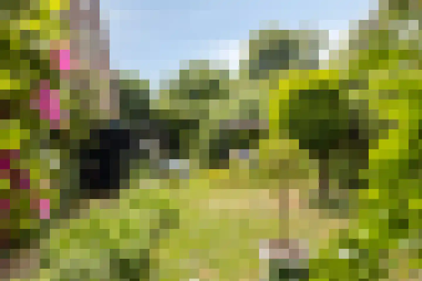 Heiligegeeststeeg 1 Doesburg thumbnail 5