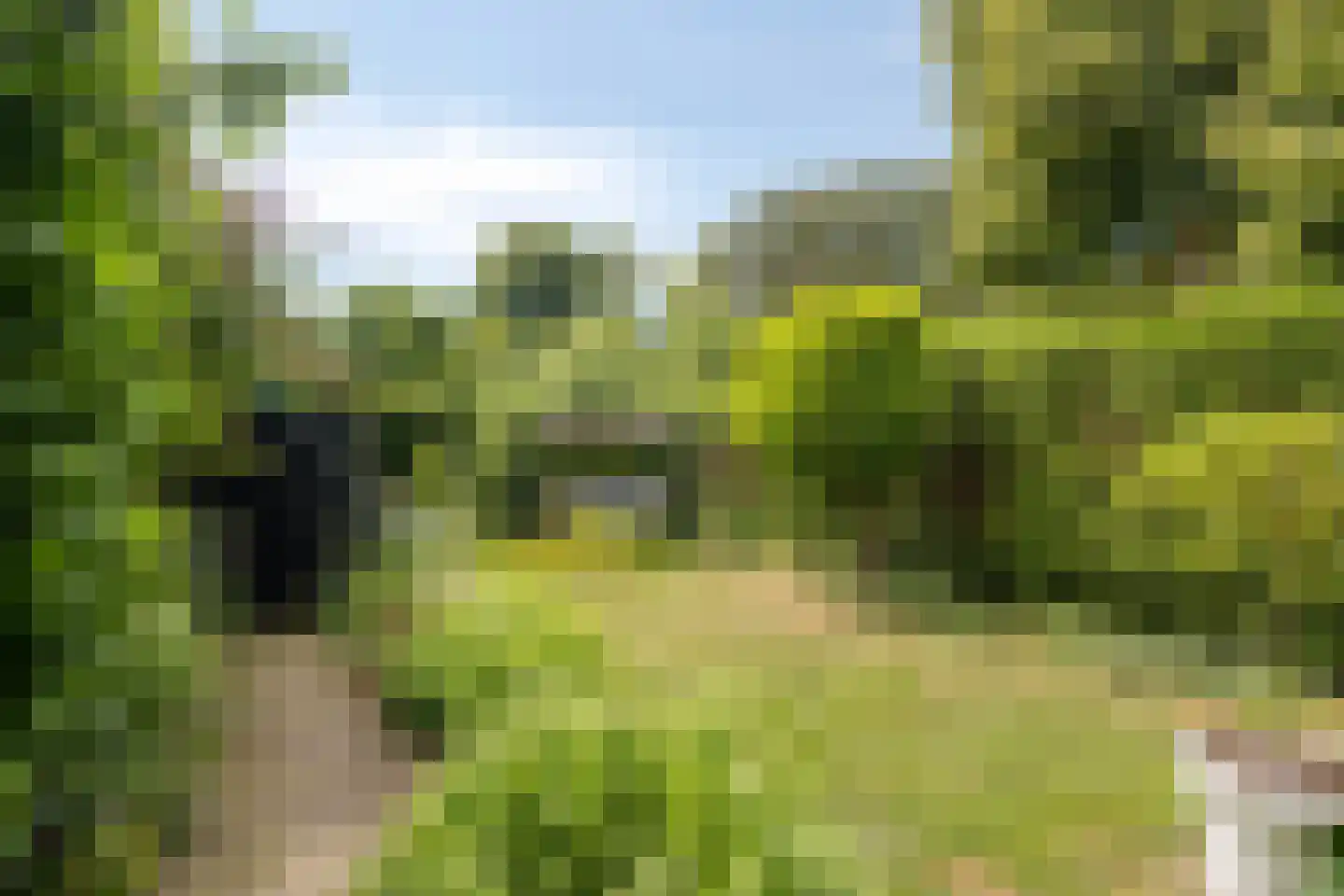 Heiligegeeststeeg 1 Doesburg thumbnail 50