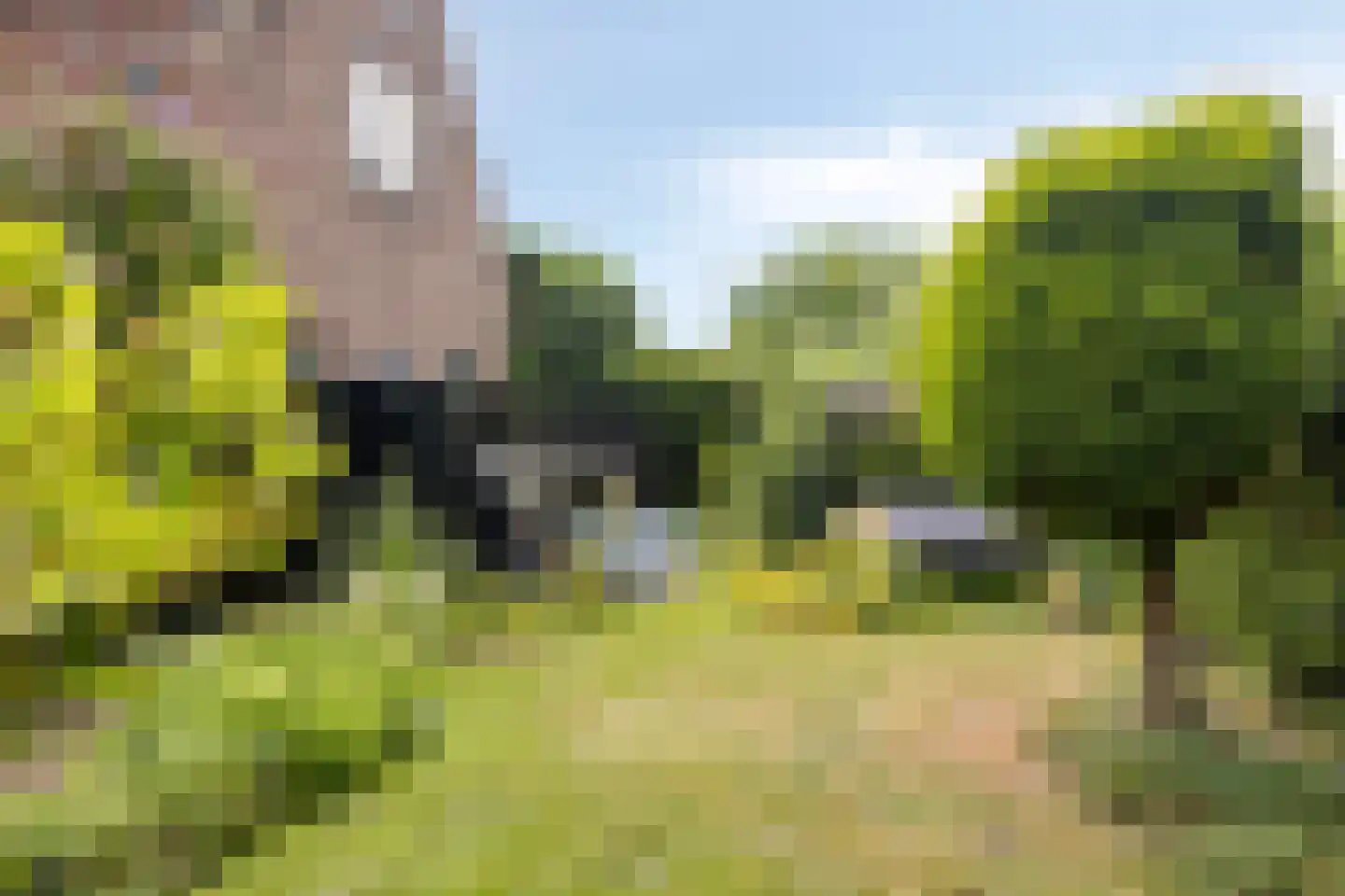 Heiligegeeststeeg 1 Doesburg thumbnail 51
