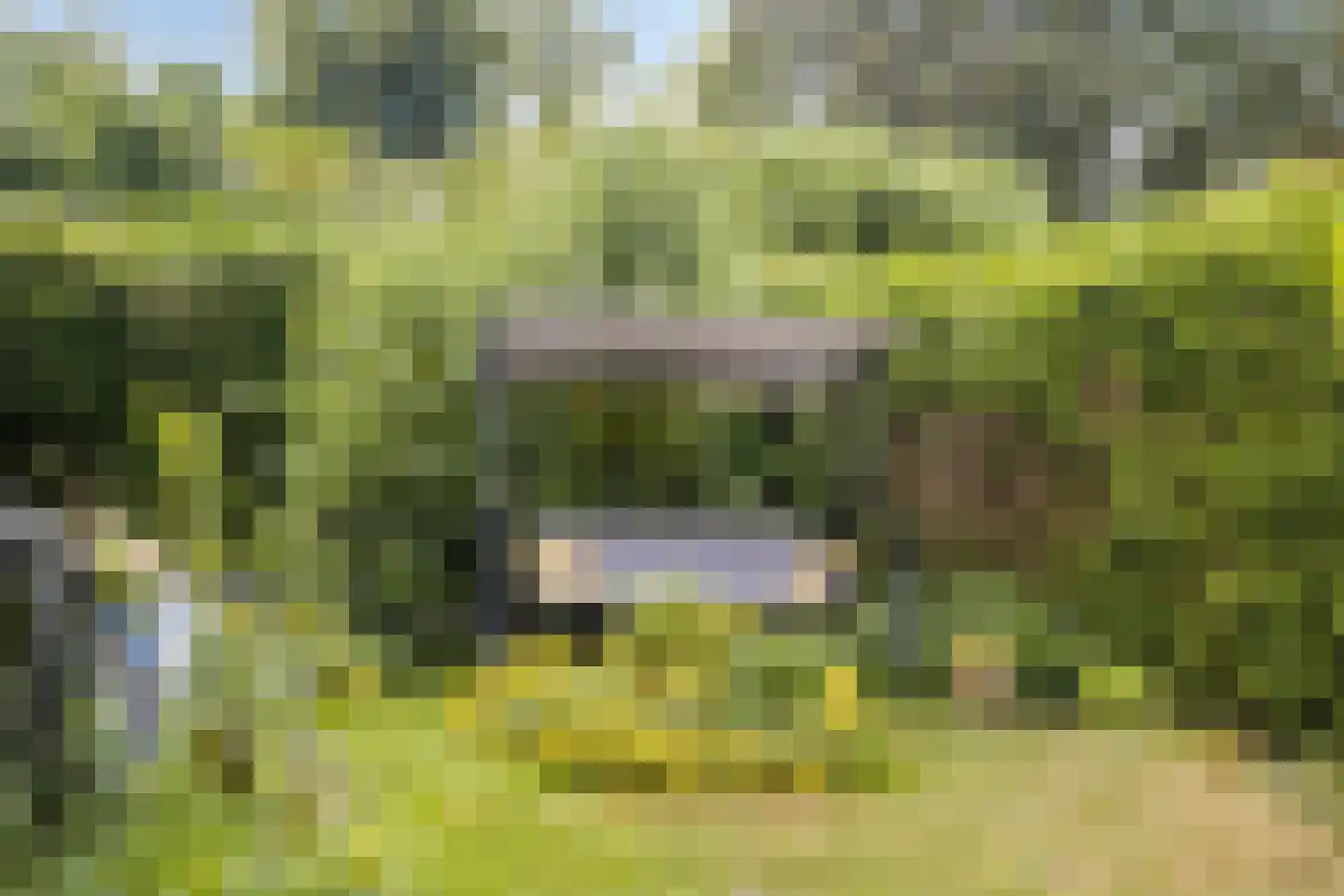 Heiligegeeststeeg 1 Doesburg thumbnail 52