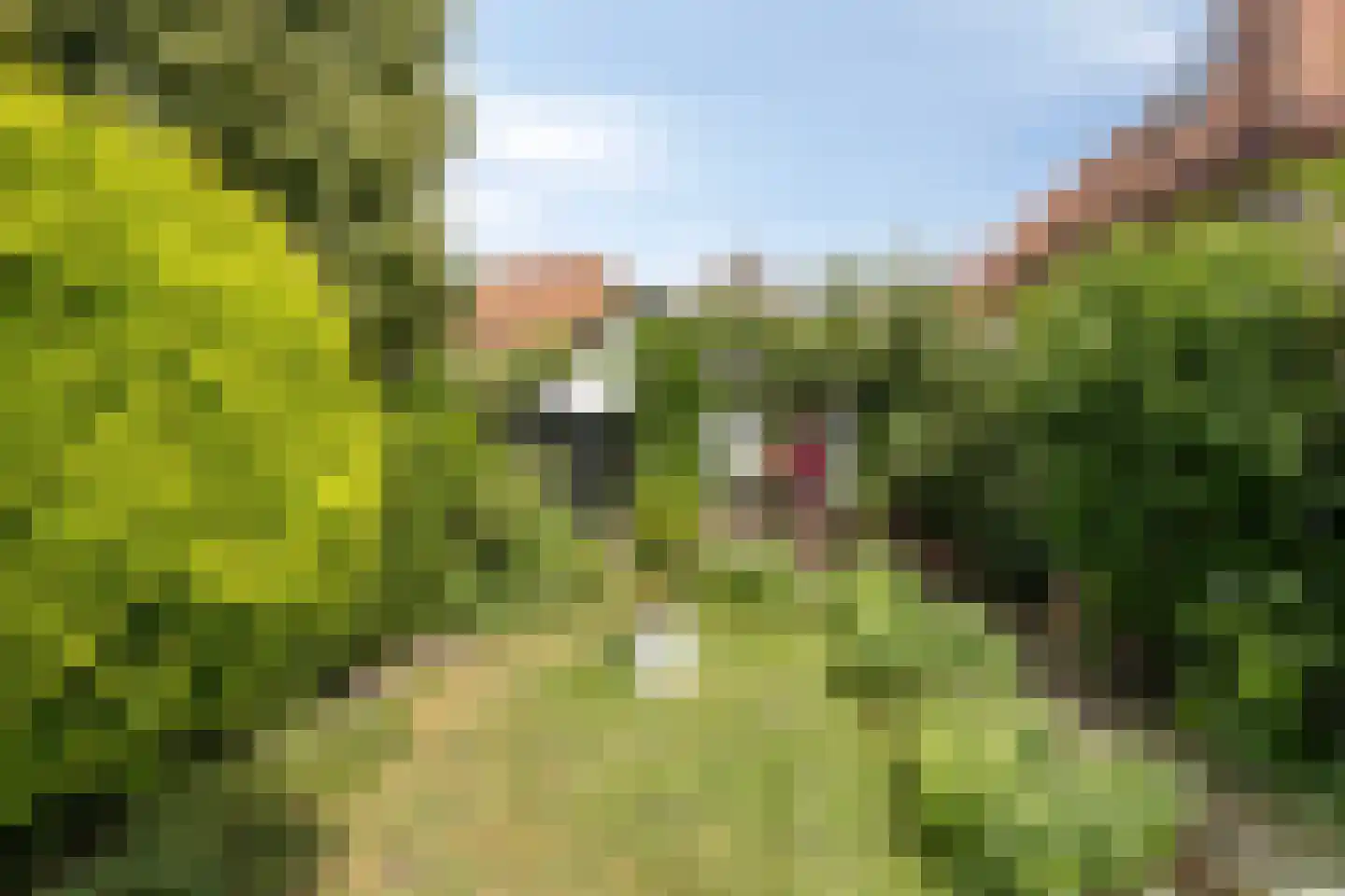 Heiligegeeststeeg 1 Doesburg thumbnail 54
