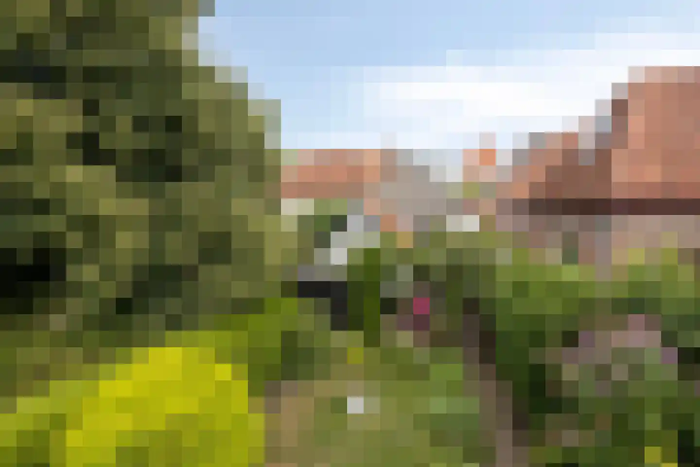 Heiligegeeststeeg 1 Doesburg thumbnail 56