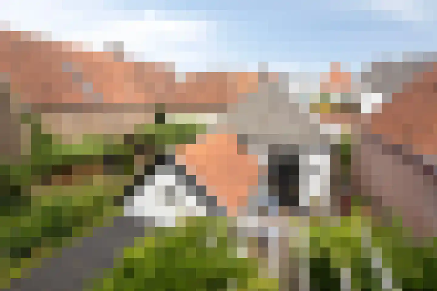 Heiligegeeststeeg 1 Doesburg thumbnail 57