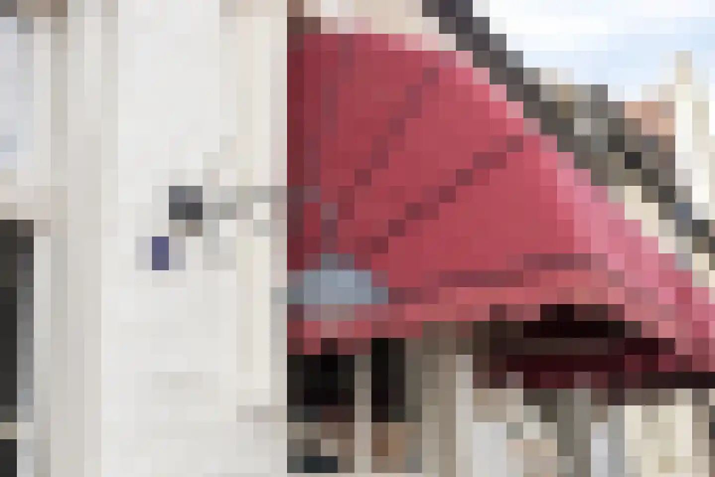 Heiligegeeststeeg 1 Doesburg thumbnail 60