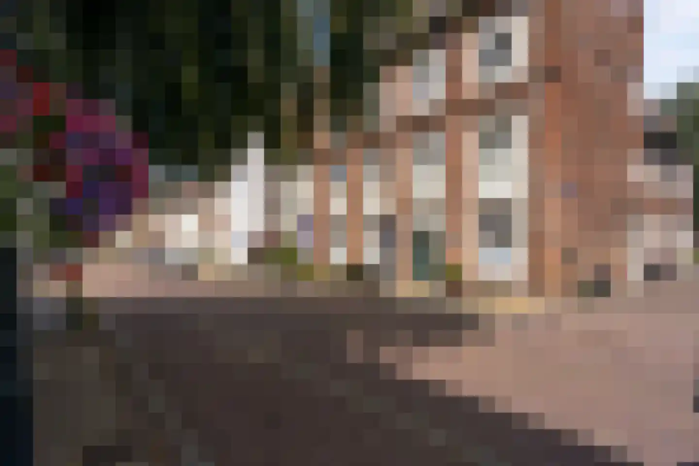 Heiligegeeststeeg 1 Doesburg thumbnail 62