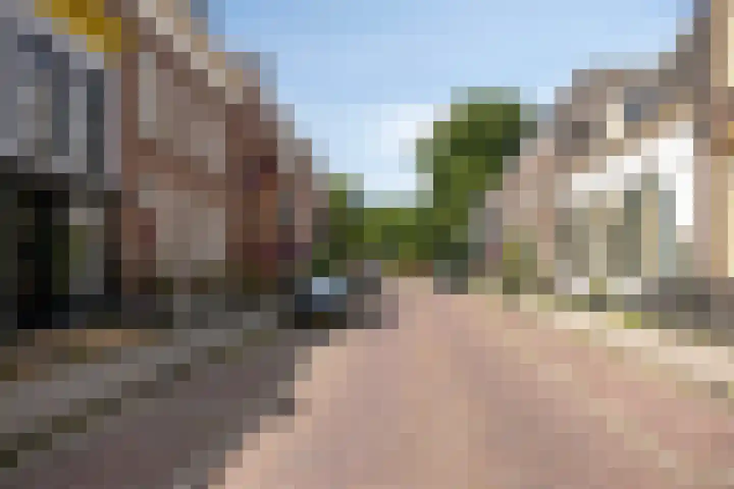 Heiligegeeststeeg 1 Doesburg thumbnail 63