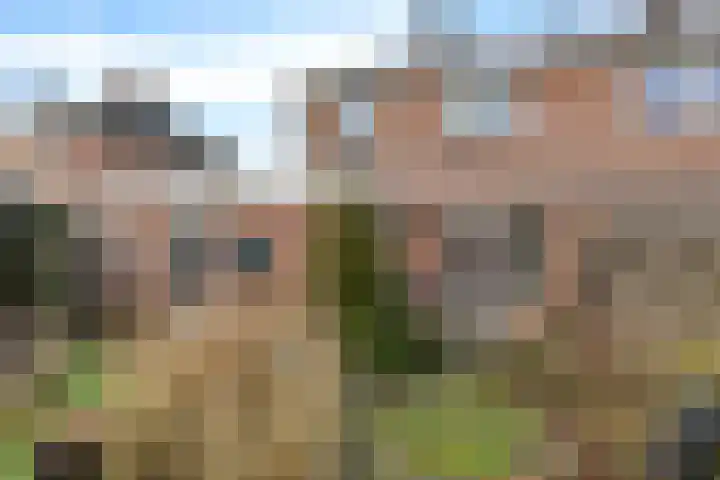 Heiligelaan 20 B Zuidbroek thumbnail 33