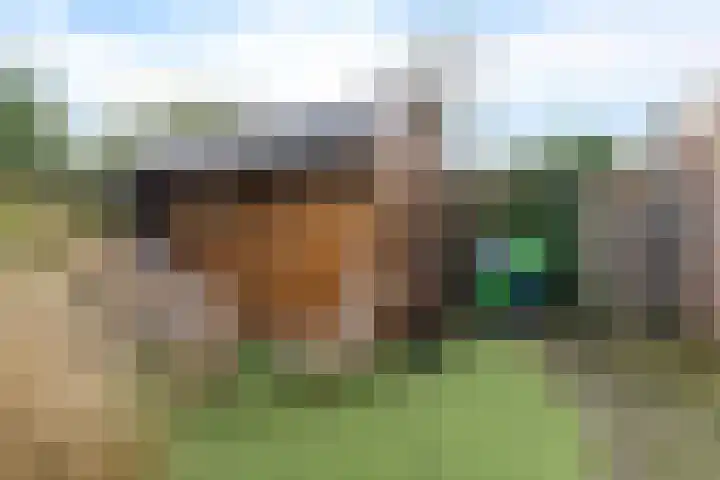 Heiligelaan 20 B Zuidbroek thumbnail 35