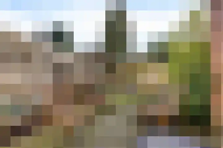 Heiligelaan 20 B Zuidbroek thumbnail 38