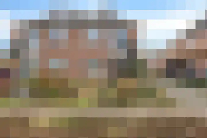 Heiligelaan 20 B Zuidbroek thumbnail 40