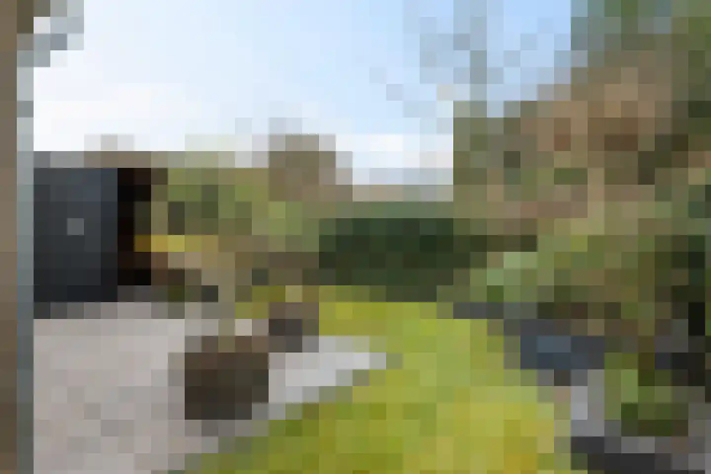 Heiligelaan 22 Zuidbroek thumbnail 36