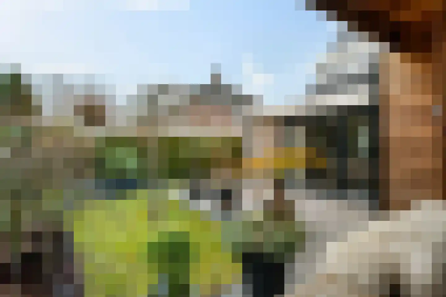Heiligelaan 22 Zuidbroek thumbnail 38
