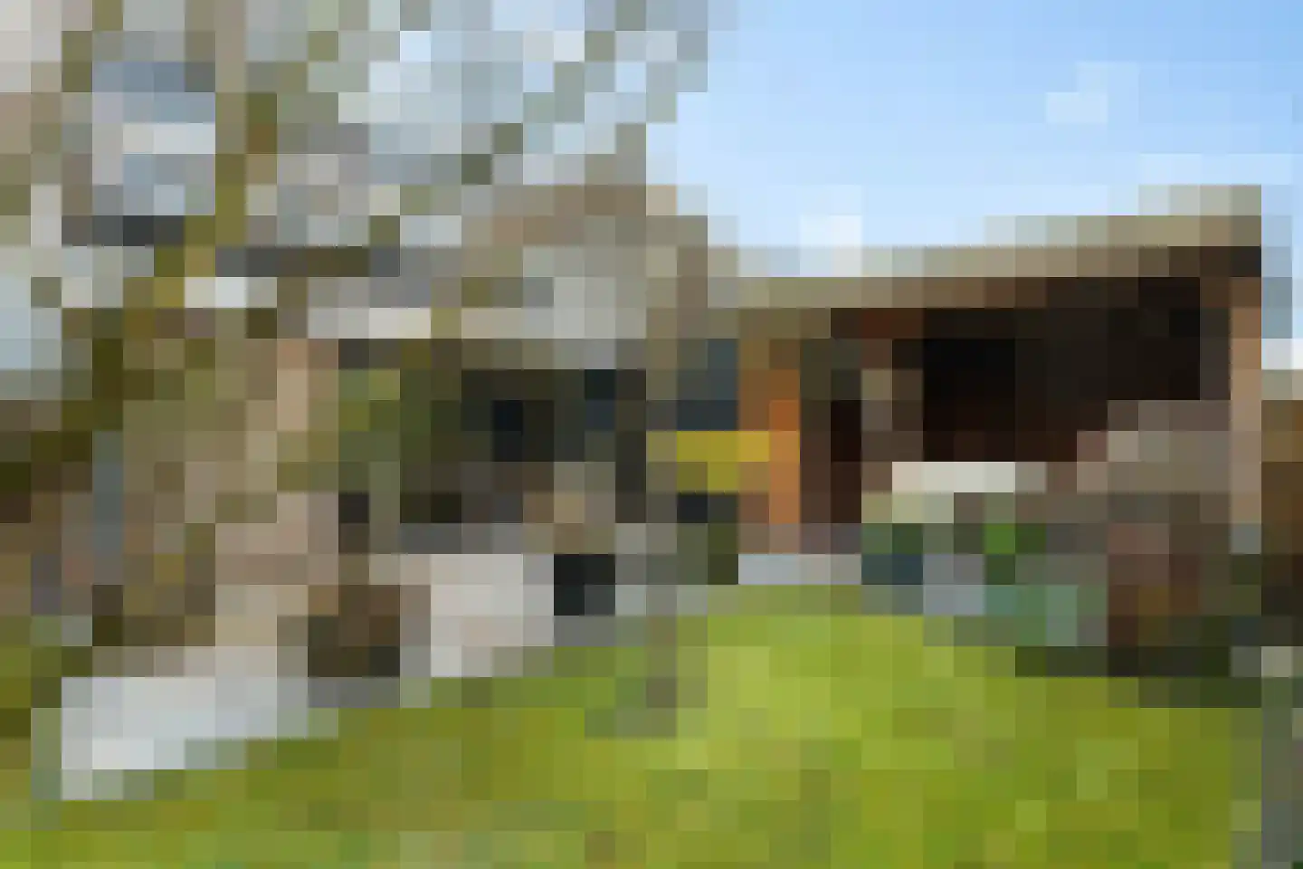 Heiligelaan 22 Zuidbroek thumbnail 39
