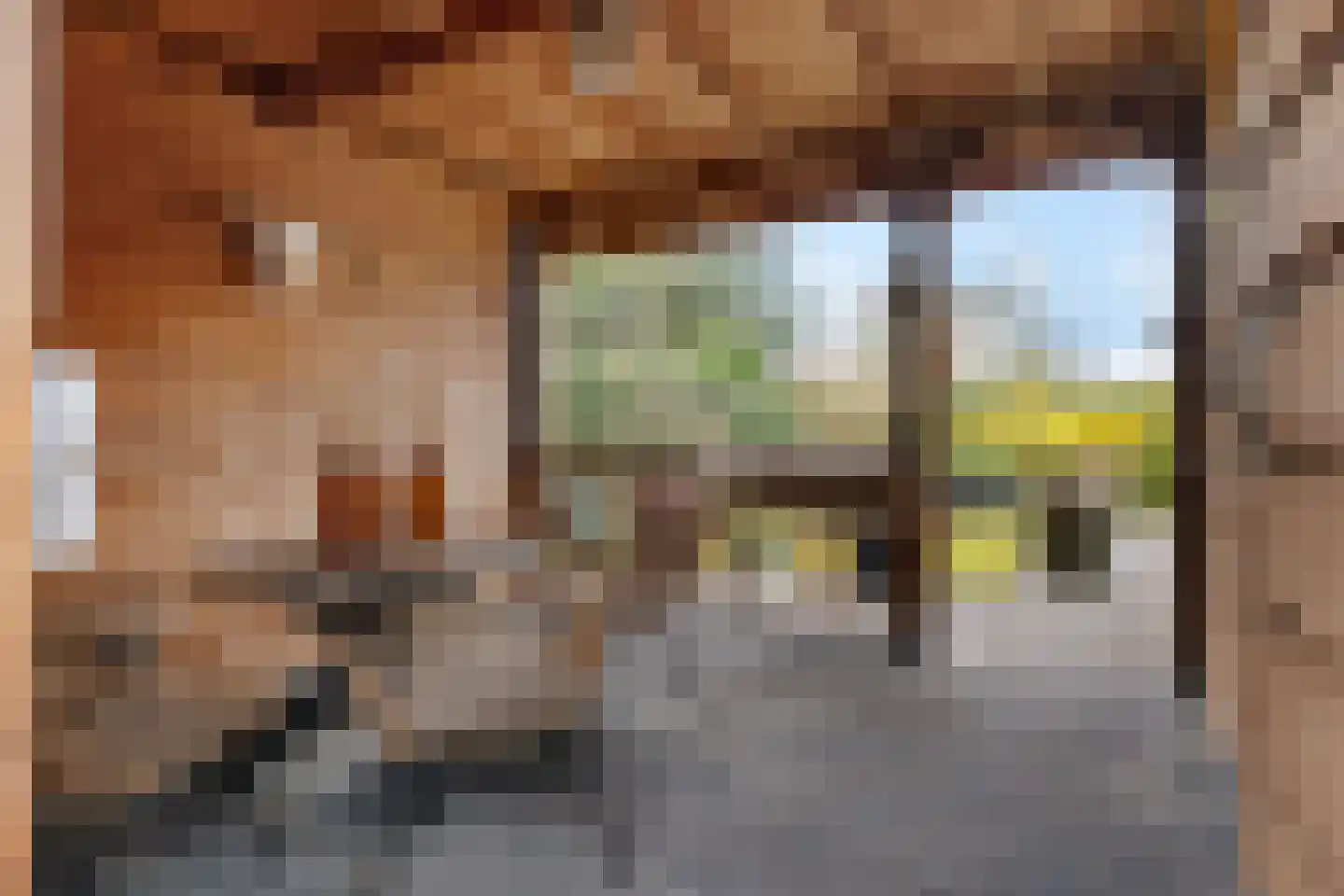 Heiligelaan 22 Zuidbroek thumbnail 4