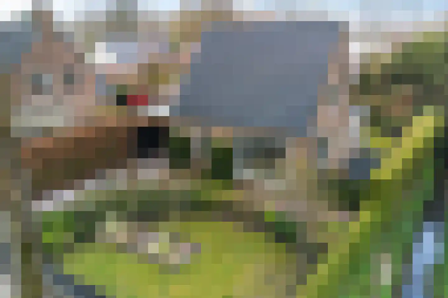 Heiligelaan 22 Zuidbroek thumbnail 43