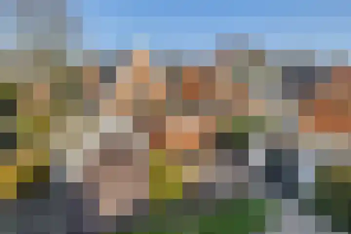 Heiligelaan 34 Zuidbroek thumbnail 31