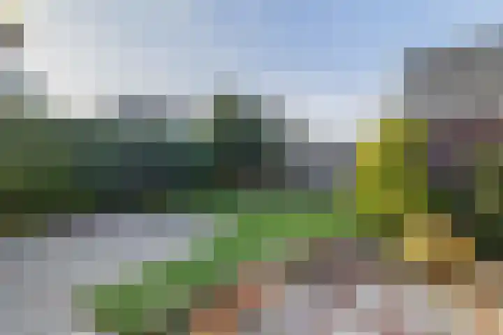 Heiligelaan 34 Zuidbroek thumbnail 32
