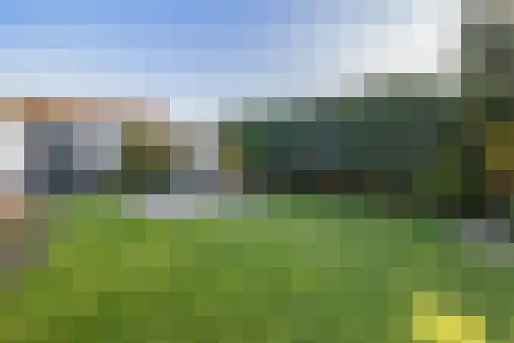 Heiligelaan 34 Zuidbroek thumbnail 33