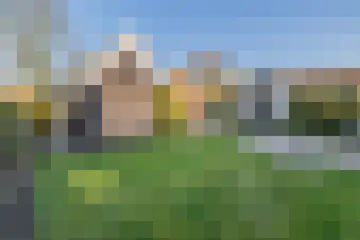 Heiligelaan 34 Zuidbroek thumbnail 34