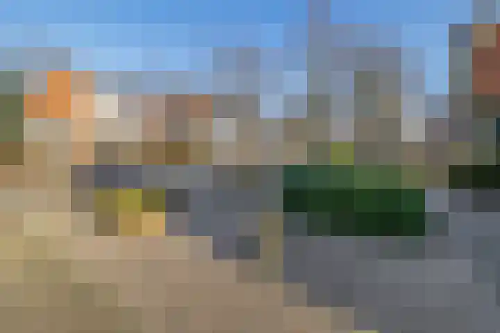 Heiligelaan 34 Zuidbroek thumbnail 39
