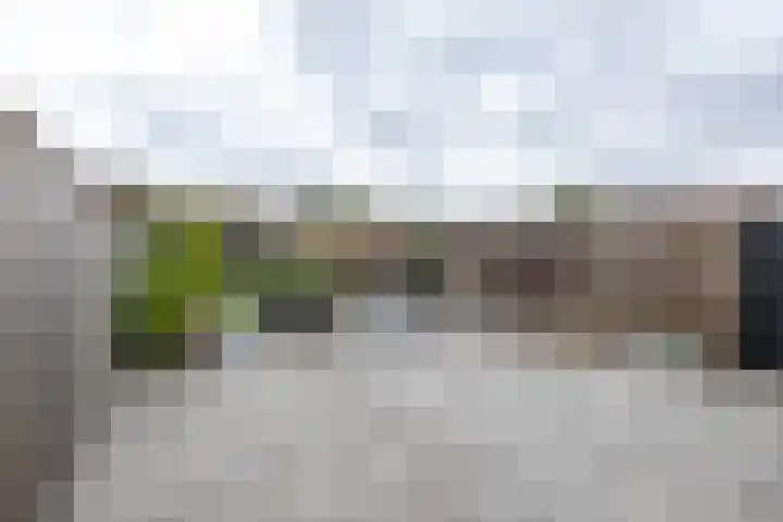 Heiligelaan 84 Zuidbroek thumbnail 43