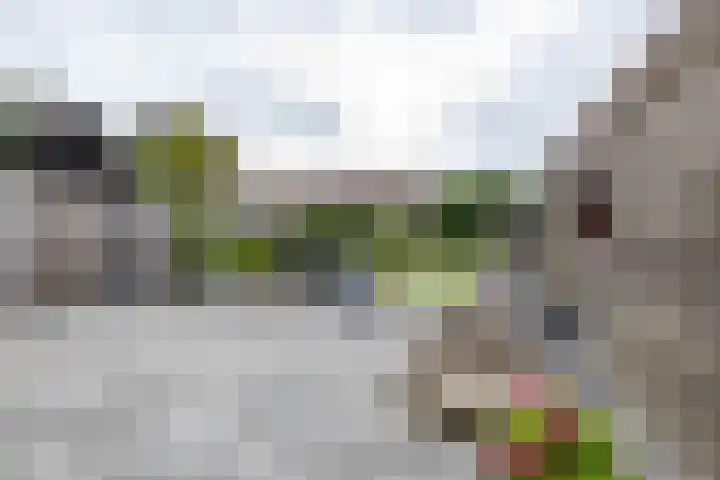 Heiligelaan 84 Zuidbroek thumbnail 47