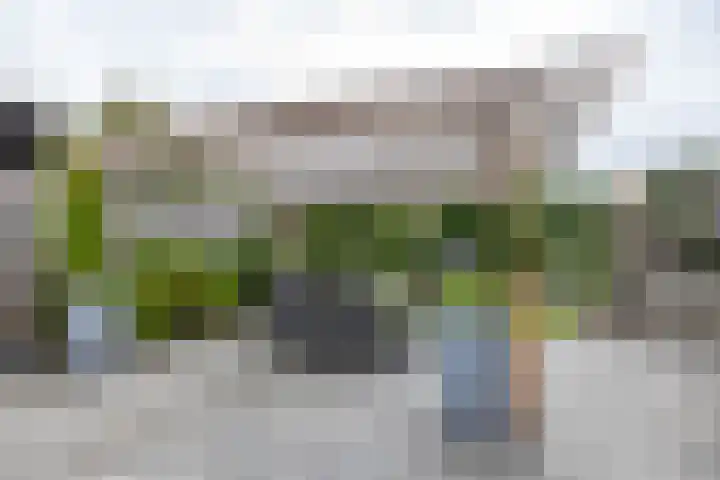 Heiligelaan 84 Zuidbroek thumbnail 48