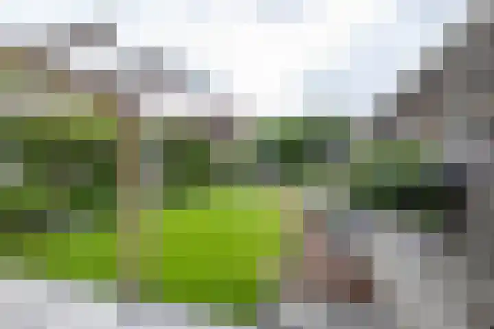 Heiligelaan 84 Zuidbroek thumbnail 49