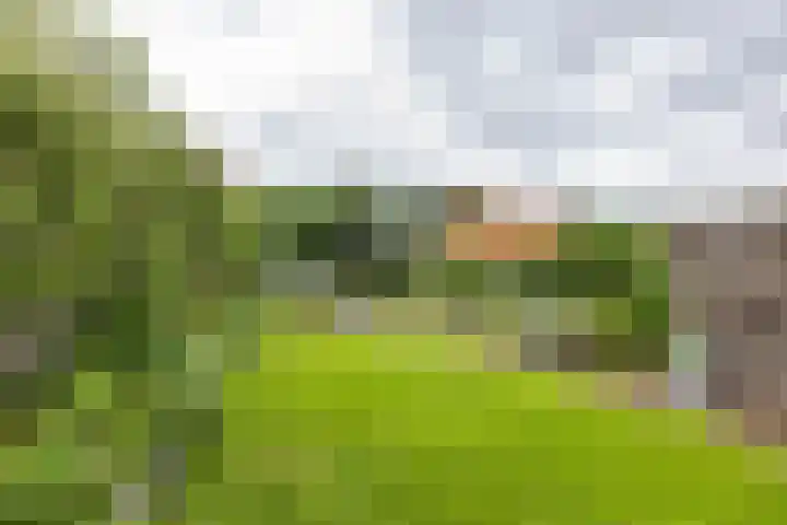 Heiligelaan 84 Zuidbroek thumbnail 50