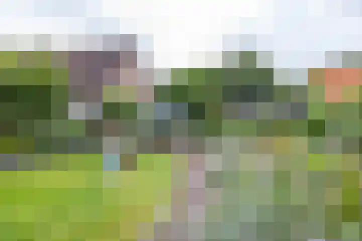 Heiligelaan 84 Zuidbroek thumbnail 51