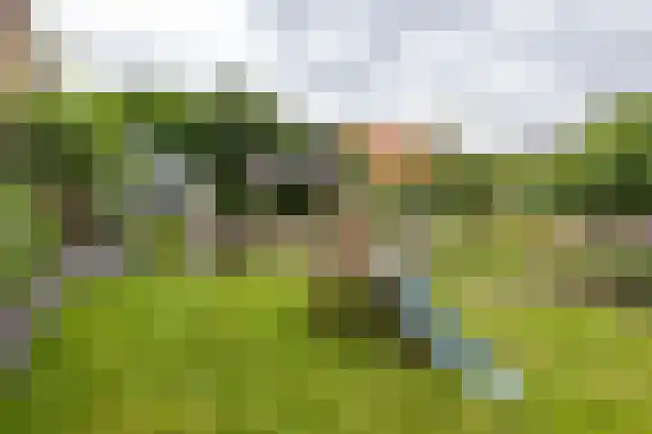 Heiligelaan 84 Zuidbroek thumbnail 53