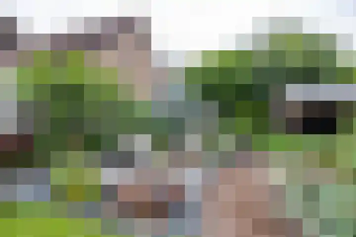 Heiligelaan 84 Zuidbroek thumbnail 54