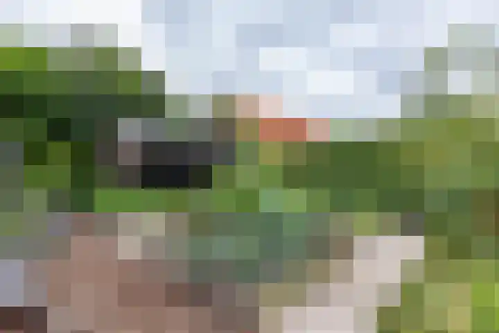 Heiligelaan 84 Zuidbroek thumbnail 55