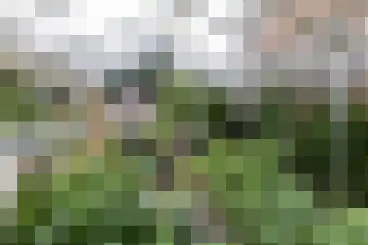 Heiligelaan 84 Zuidbroek thumbnail 59