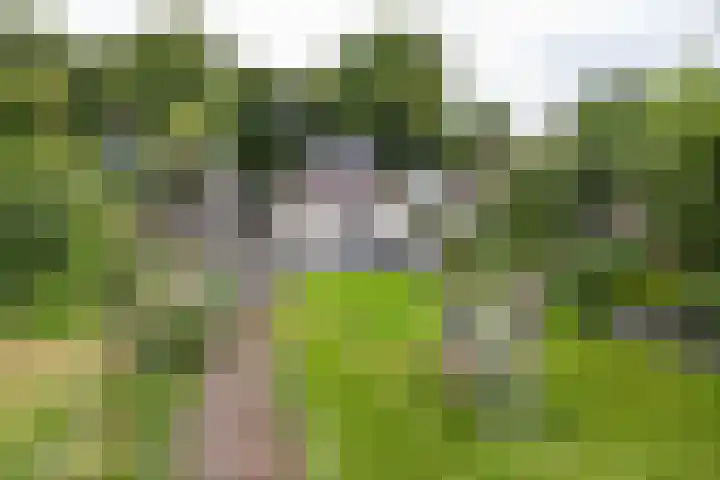 Heiligelaan 84 Zuidbroek thumbnail 61