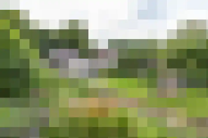 Heiligelaan 84 Zuidbroek thumbnail 62